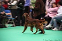 Crufts2011 289